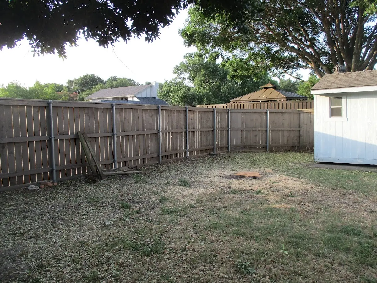 Cleared yard after professional tree removal in Middleburg