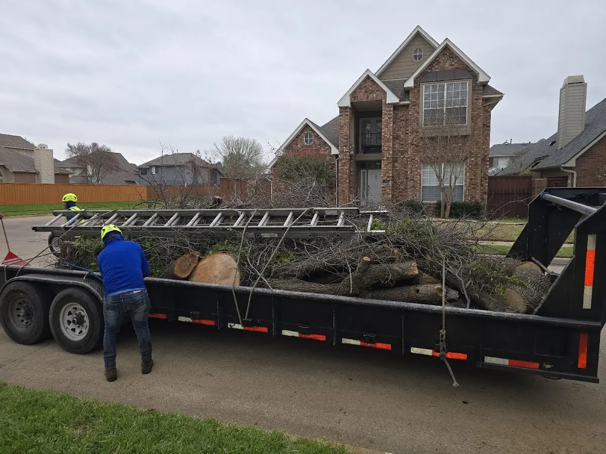 Expert Lot Clearing with proper safety equipment in Middleburg